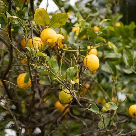 Monolocale Di Giovanna * Torre delle Stelle